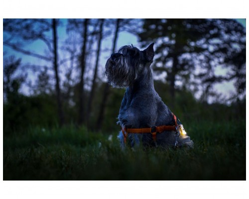 Фонарь ARMYTEK ZIPPY YELLOW