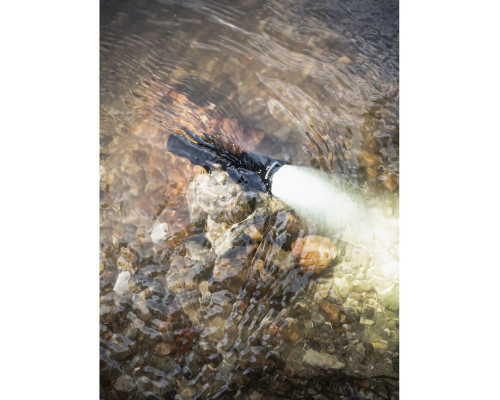 Фонарь Armytek Dobermann Pro Magnet USB White Light