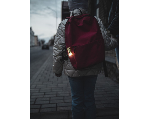 Фонарь ARMYTEK ZIPPY EXTENDED SET RED