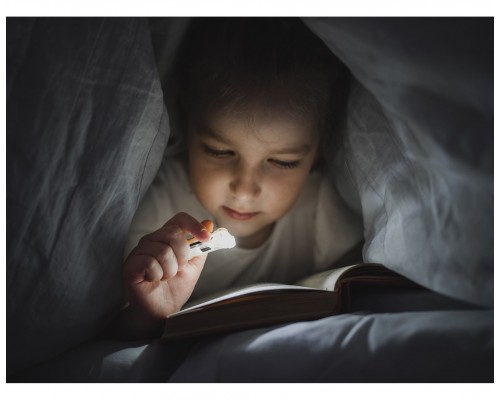 Фонарь ARMYTEK ZIPPY EXTENDED SET GREEN